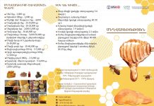 Մեղվաբուծություն